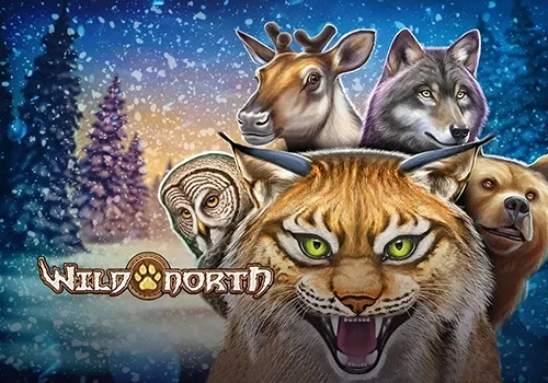 Wild North Arctic Adventure Slot Game